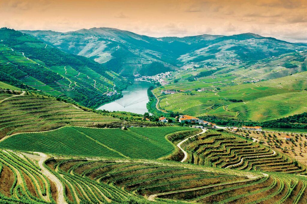 Douro Valley